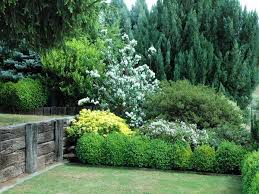 On a warm sunny saturday after a busy if your need for increased privacy coincides with the need for a new shed, plan it strategically to form a visual screen. Privacy Plants A Living Fence For Your Outdoor Area