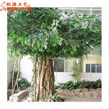 It is also known as the bodhi tree, pippala tree, peepul tree, peepal tree or ashwattha tree (in india and nepal). Artificial Ficus Religiosa Sale High Quality Artificial Ficus Leaves Ficus Tree Price Buy Ficus Religiosa Sale Artificial Ficus Leaves Ficus Tree Price Product On Alibaba Com