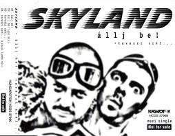 Skyland Discography: Vinyl, CDs, & More