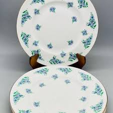 Victoria China Plate