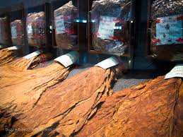 Kota kudus dikenal sebagai kawasan industri dan perdagangan. Telusur Sejarah Rokok Kretek Di Museum Kretek Kudus The Science Of Life