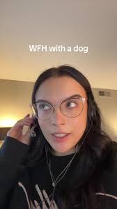 Dog Barking at Phone