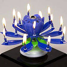 Happy Birthday Cake With Lots Of Candles Images Amazing Musical Lotus Flower Birthday Candle Ships From Usa Trophy Colorful Candles Lotus Birthday Candle Happy Birthday Candles