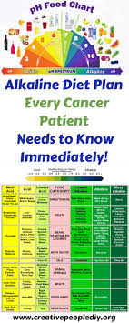 alkaline diet plan that every cancer patient needs to know