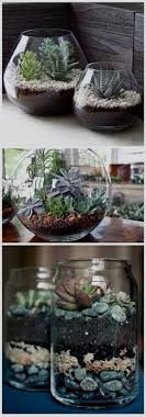 Garden Bench For Plants Garden Gloves Screwfix Tools Christmas Hamper 2018 Terrarium Diy Succulents Diy Succulent Terrarium