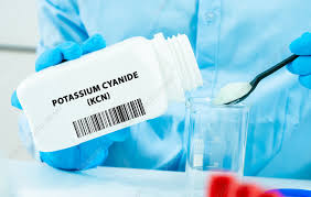 Image result for Cyanide