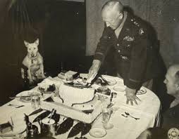 General Patton And His Bull Terrier Willie Mini Bull Terriers Bull Terrier War Dogs