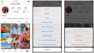 Check spelling or type a new query. How To Hide Instagram Posts Stories Or Both Without Unfollowing