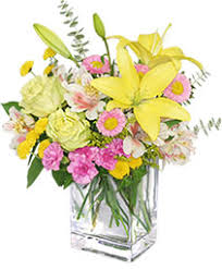 Maybe you would like to learn more about one of these? Columbus Florist Columbus Ga Flower Shop Terri S Florist