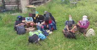 Harapkan pagar pagar makan padi. Harapkan Pagar Pagar Makan Padi