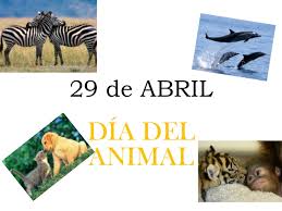 Por qué celebramos el día del animal el 29 de abril. 29 De Abril Dia Del Animal