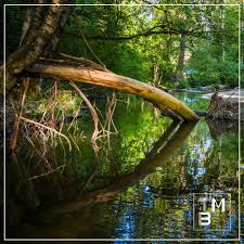 Discover Williams Park: An Adventurous Family Escape in Langley, BC