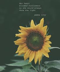 By Gemmatroypoetry I Grew This Sunflower And It Bloomed Today On A Grey And Rainy Old Day Proof That T Sunflower Quotes Good Instagram Captions Flower Quotes