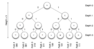 The height of binary tree is the measure of length of the tree in the vertical direction. The Possible Paths For A Binary Search Tree Of Depth 3 Download Scientific Diagram