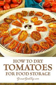 Homemade Sun Dried Tomatoes Recipe Harvest Cooking Sun Dried Tomato Dried Tomatoes