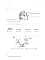 Latihan Ulangkaji Pdf