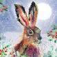 Animals in Watercolour. Intermediate Class event image