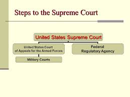 The court of appeal is very important in the hierarchy of courts in nigeria because cases does not usually move to the supreme court without passing through it, except where the case falls under the original jurisdiction of the also see: The Federal Court System The National Judiciary Key Terms Jurisdiction Exclusive Jurisdiction Concurrent Jurisdiction Plaintiff Defendant Original Jurisdiction Ppt Download