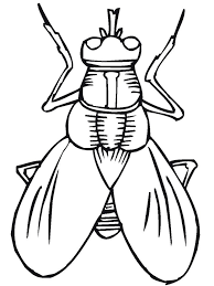 A butterfly has wings coloring page. Printable Bugs Bug Insect Coloring Pages Primarygames Bug Coloring Pages Insect Coloring Pages Coloring Pages For Kids