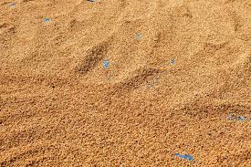 نتیجه جستجوی لغت [drying] در گوگل