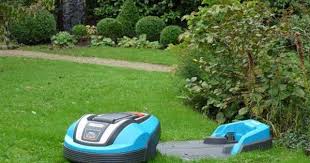 5 Tipps Fur Den Perfekten Rasen Rasen Garten Teppich Grun