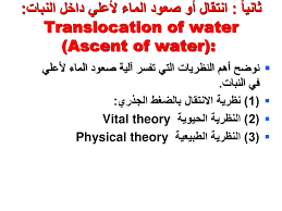 3 فقد النبات للماء النتح Ppt Download