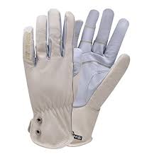 Maybe you would like to learn more about one of these? Stonebreaker Gloves Garden Pro Small Gardening Glove Small Light Blue Women Buy Online In Angola At Angola Desertcart Com Productid 22752406