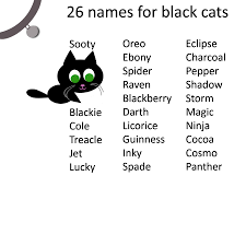 Cat Care Tips Black Cat Names For Your Your Black Cat Katzen Namen Namen Fur Schwarze Katzen Katzennamen