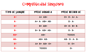 Que Conoces De Tu Sangre Tipos De Sangre Anatomia Y Fisiologia Grupos Sanguineos