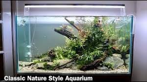 The nano corner filter in your aquascape tank kit is an extremely quiet internal filter that allows you to freely adjust the water flow. Nature Aquarium Aquascape Tutorial Low Maintenance Home Aquascape Step By Step Youtube