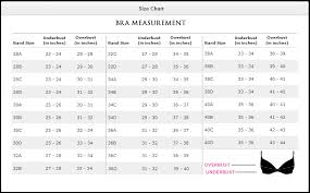 8 Swimwear Size Chart Bikini Panty Size Chart