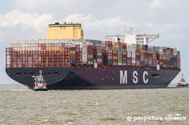 Msc shipmanagement is a young msc family member. Msc Gulsun Our Views Setlog