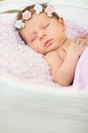 Rachel Gauwitz Photography