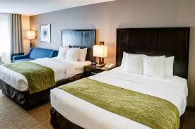 Complimentary design consultation and service. Hotel Comfort Inn Suites San Diego Zoo Seaworld Area San Diego Trivago In