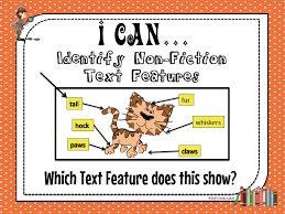 more on fiction and non fiction anchor chart lessons by sandy