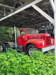 Image result for Mack Red 1995 Fleet