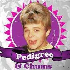 Pedigree & Chums