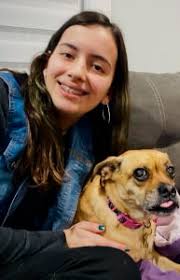 About 4 Paws Pet Resort