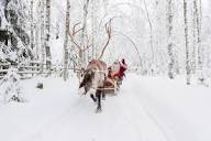 Reindeer Farm Visit with Sleigh Ride | GetYourGuide
