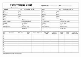 Family Group Sheet Template Pdf Excel Maggi Locustdesign Co
