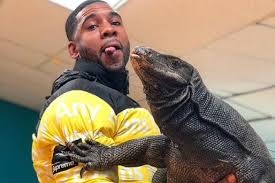 (2) termasuk anggota famili biawak varanidae, dan klad (3) komodo ditemukan oleh peneliti barat pada tahun 1910. Bukan Komodo Hewan Di Video 9gag Adalah Biawak Ini Beda Keduanya Halaman All Kompas Com