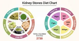 Diet Chart For Kidney Stones Patient Kidney Stones Diet
