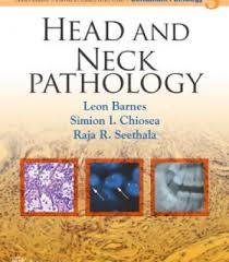 Unity Game Development In 24 Hours Sams Teach Yourself Pdf Head And Neck Pathology Pdf Pathology Head And Neck Medical