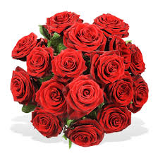 In german, the metaphor rote rosen regnen does not evoke an image of roses raining down from the sky but of being showered with roses thrown in reverence, e.g. Rote Rosen Png 5 Png Image