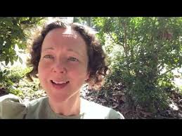 Nos actions dans les arts, l'éducation et la société