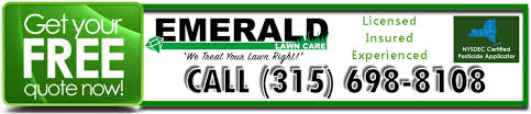 Maybe you would like to learn more about one of these? Emerald Lawn Care Home