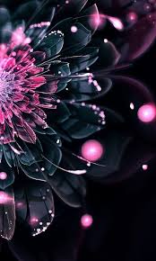 Pink Navy Floral Phone Wallpaper 3d Wallpaper For Mobile Pretty Wallpapers Background Hd Wallpaper