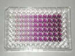 We did not find results for: The Alternatives To Animal Testing Animals Are Not Ours To Experiment On Peta Uk