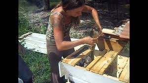 Organic practices for honeybee health is the first comprehensive guide to beekeeping with a top bar hive. Top Bar Hive Buzz Beekeeping Supplies