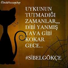 Uykunu Tutamadigin Zamanlar Dibi Yanmis Tava Gibi Kokar Gece Sibelgokce Iyisoz Iyisozler Guzelsoz Guzelsozler Gununsozu Be Goruntuler Ile Gece Guzel Soz Alintilar